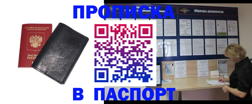 найти адрес прописки в Курчалом